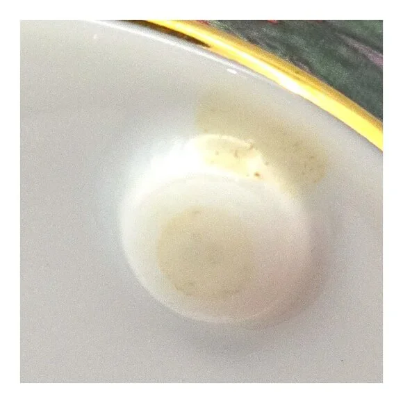 Broad-Billed Hummingbird Music Box Lena Liu Ardleigh-Elliott Eine Kleine Nachtmu - Picture 10 of 13